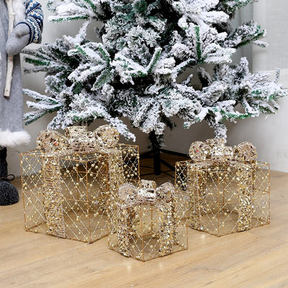 3 Pieces Transparent Christmas Cubical Metal Gift Box / Ruchi