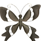 Enchanting Multicolored Butterfly Designed Metal Wall Decor / Ruchi