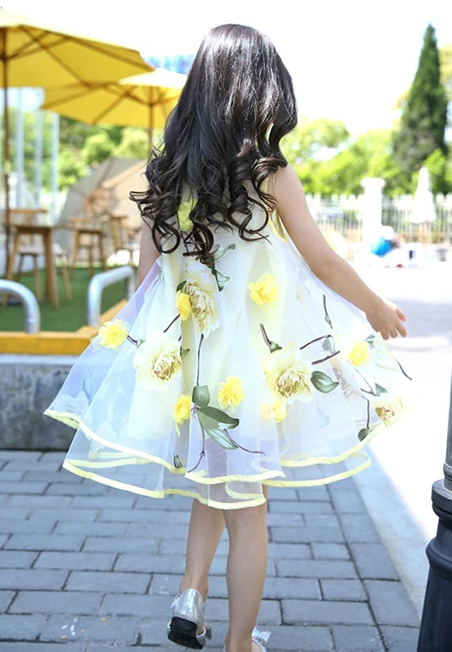 Kids Girl's Summer Dress / Ruchi