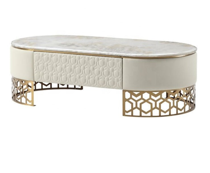 Astounding Marble Top Leather Upholstered Coffee Table / Ruchi