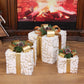 Captivating Set Of 3 Colorful Hollowed Christmas Cubical Gift Box / Ruchi