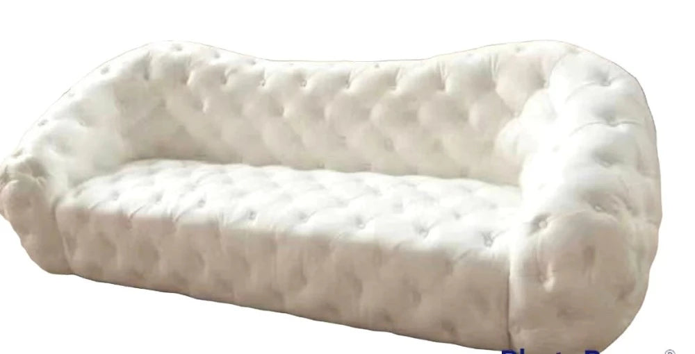 Minimalist Modern Genuine Leather Button Tufted Sofa / Ruchi